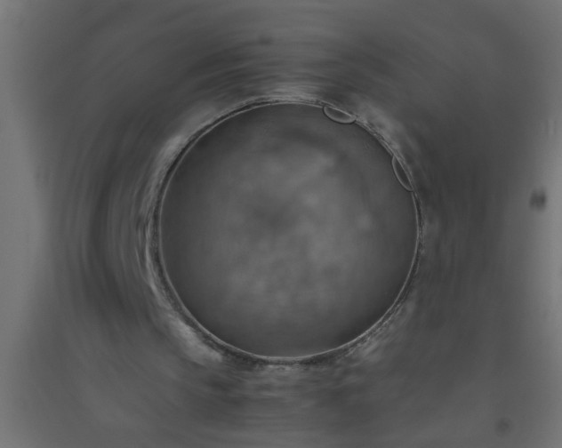 X0000094800145200711241431