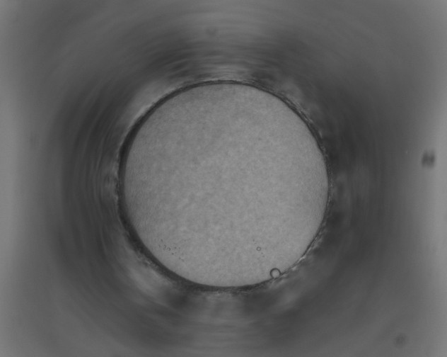 X0000094800146200711241431
