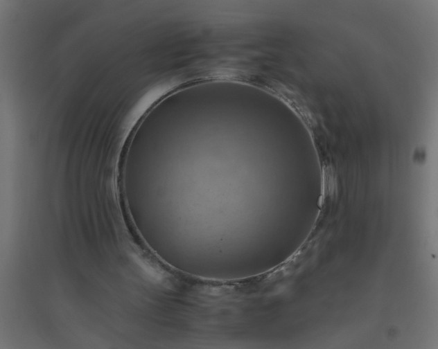 X0000094800147200711241431