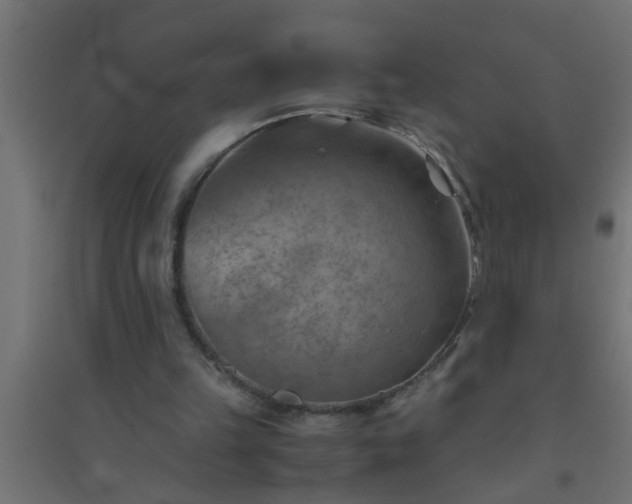 X0000094800149200711241431