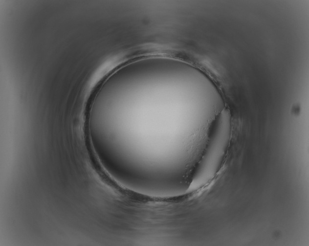 X0000094800150200711241431