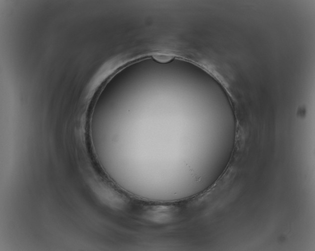 X0000094800151200711241431