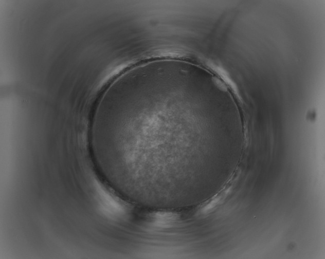 X0000094800154200711241431