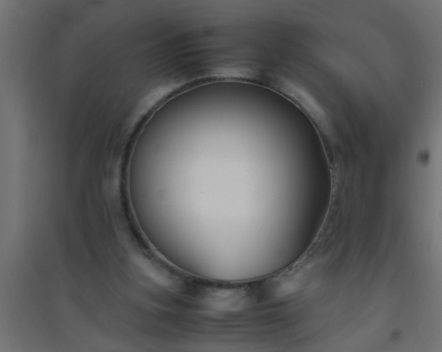 X0000094800155200711241431