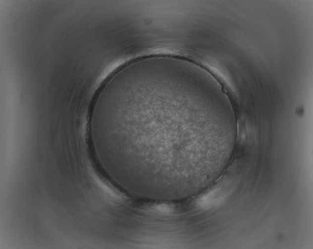 X0000094800156200711241431