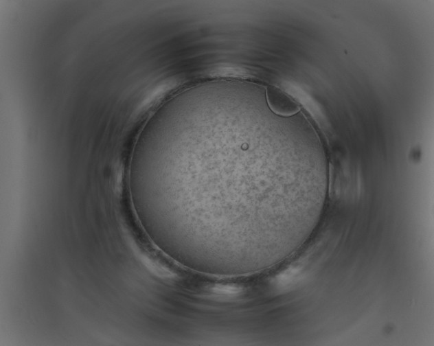 X0000094800157200711241431