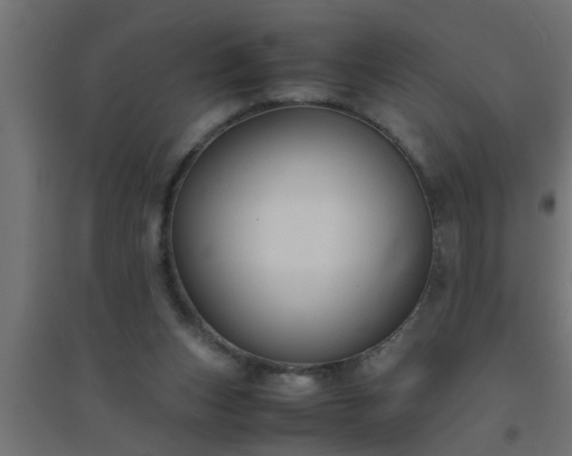X0000094800159200711241431