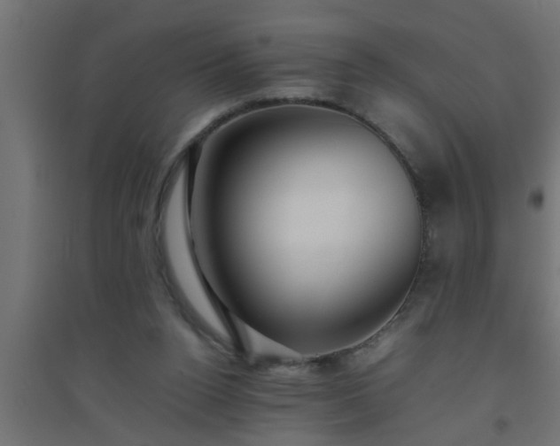 X0000094800160200711241431