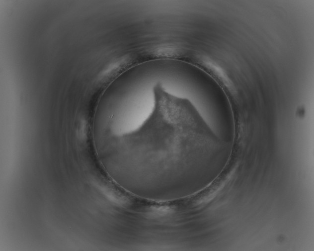 X0000094800161200711241431