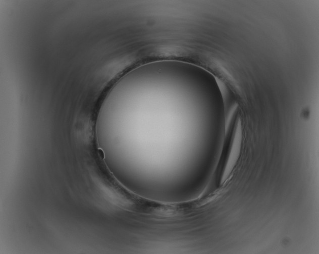 X0000094800164200711241431