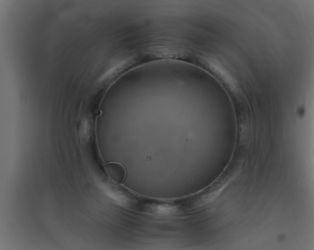 X0000094800165200711241431