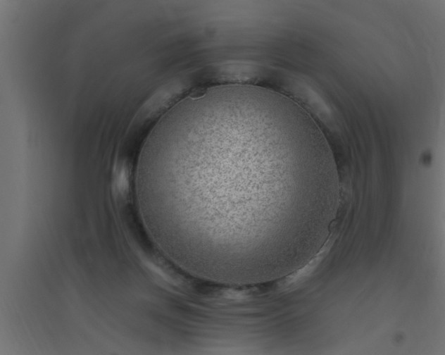 X0000094800166200711241431