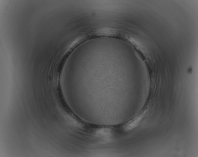X0000094800168200711241431