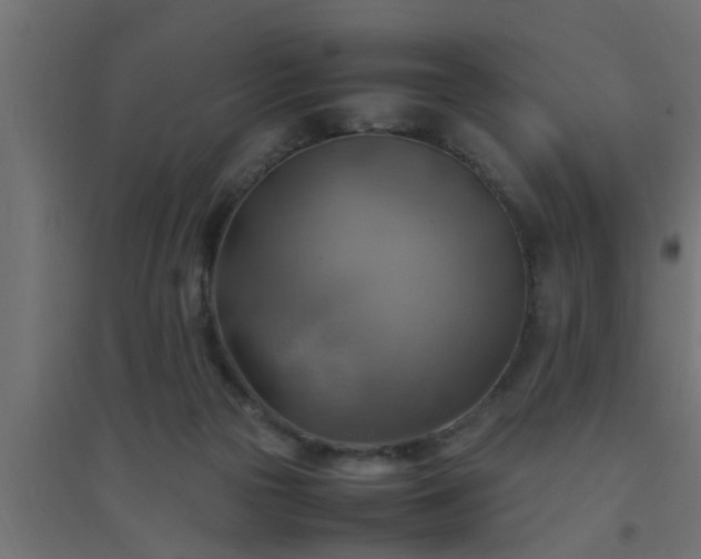 X0000094800169200711241431