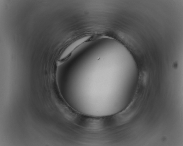 X0000094800170200711241431