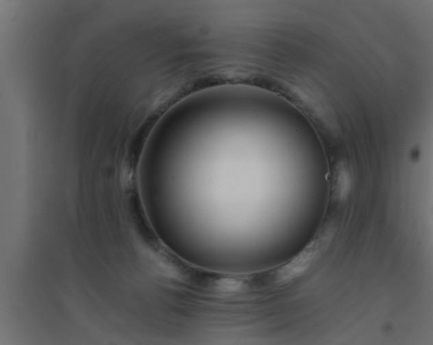 X0000094800176200711241431