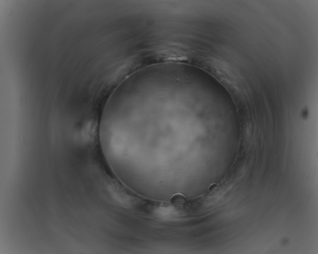 X0000094800177200711241431