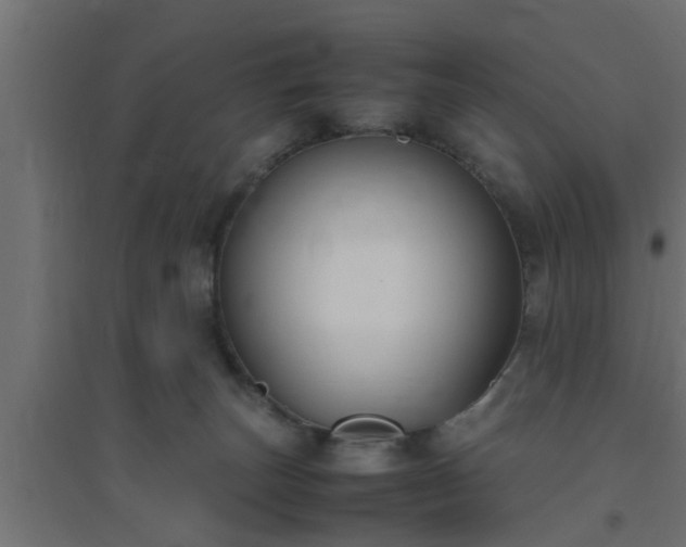 X0000094800179200711241431