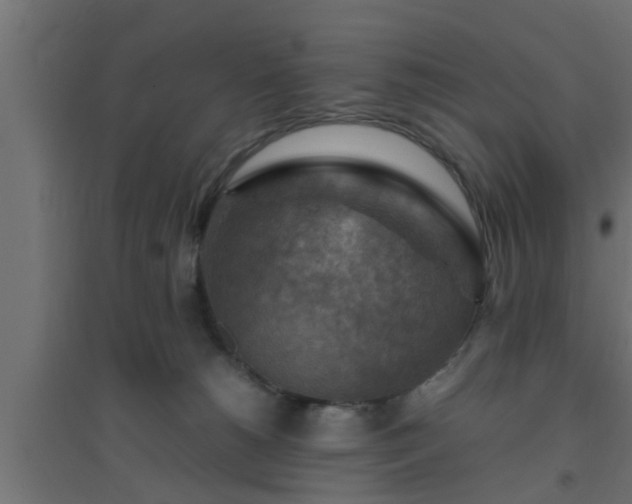 X0000094800180200711241431