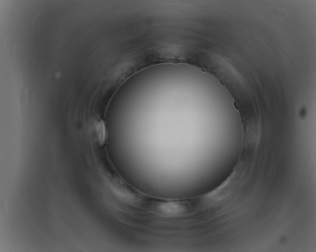 X0000094800183200711241431