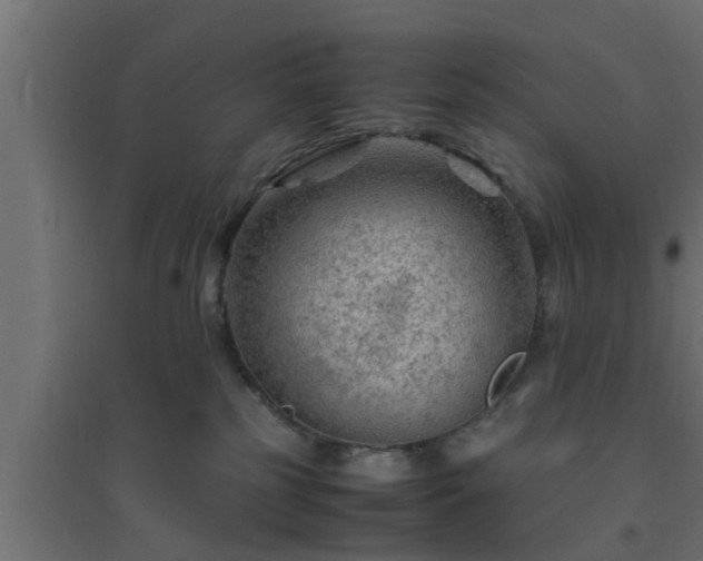 X0000094800185200711241431