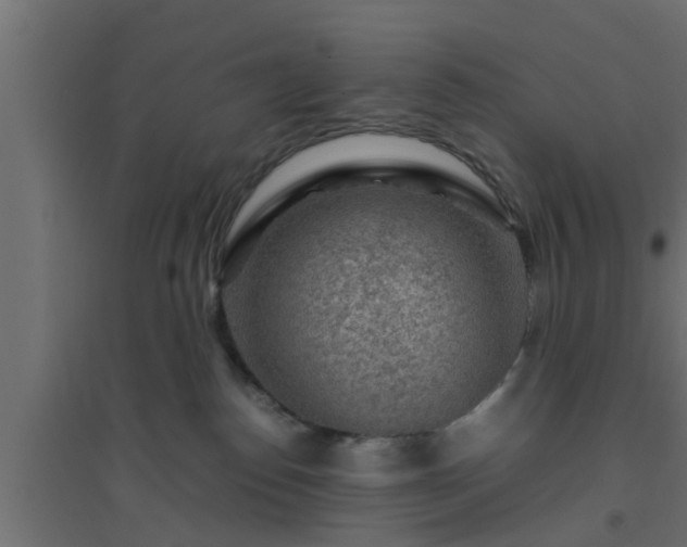 X0000094800186200711241431