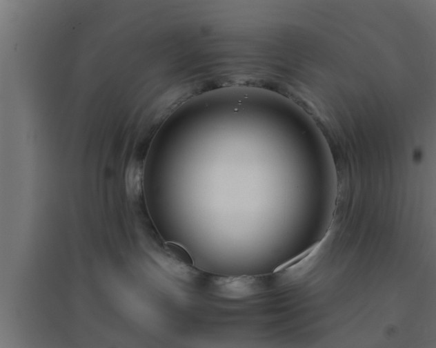 X0000094800191200711241432