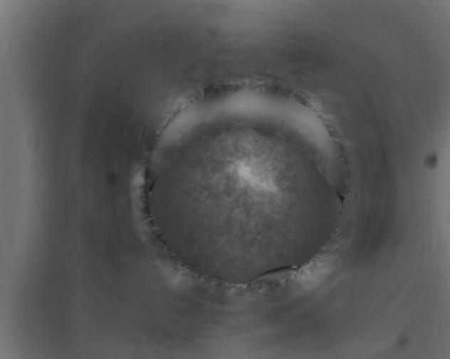 X0000094800192200711241432