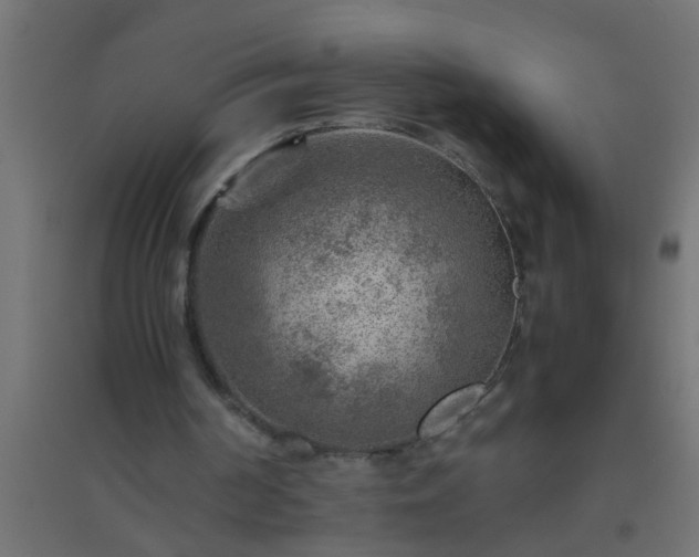 X0000094800194200711241431