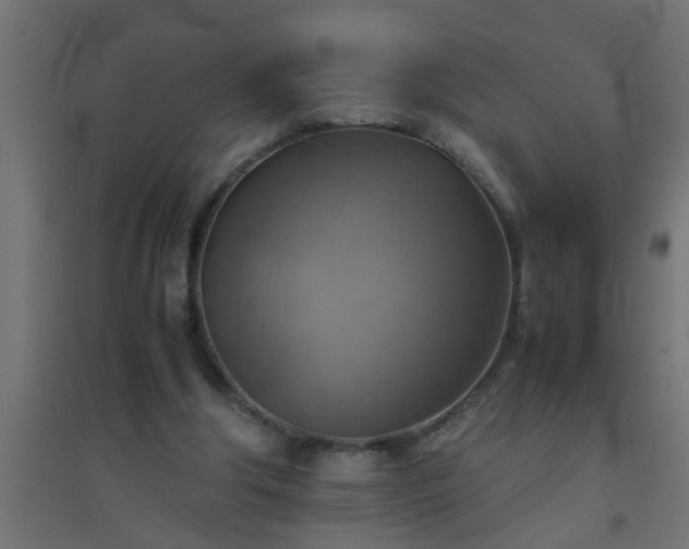 X0000094800202200711241431