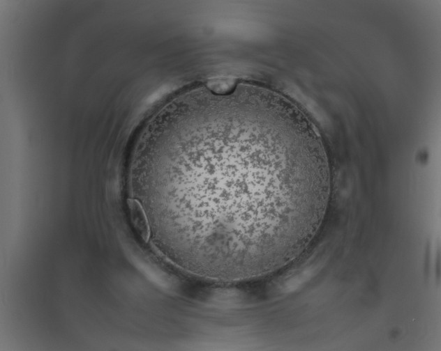 X0000094800203200711241431