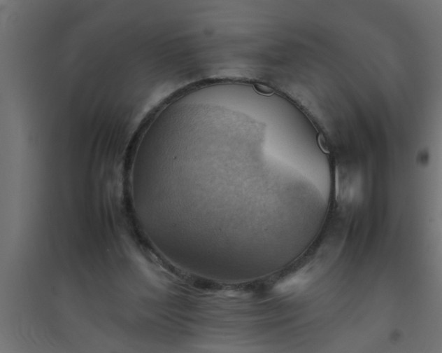 X0000094800204200711241431