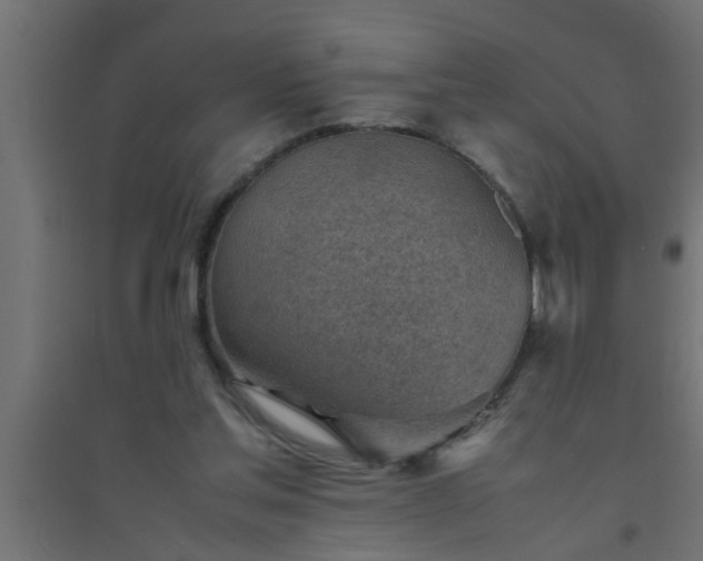 X0000094800205200711241431