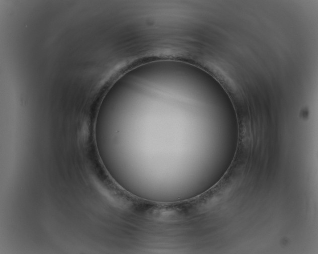 X0000094800208200711241431