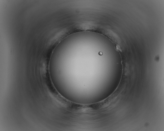 X0000094800210200711241431