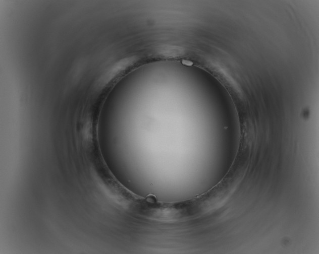 X0000094800212200711241431