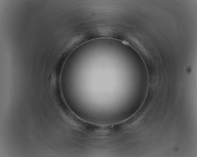 X0000094800213200711241431