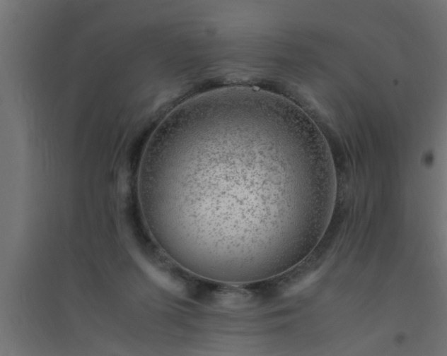 X0000094800215200711241431