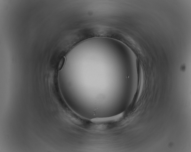 X0000094800217200711241431