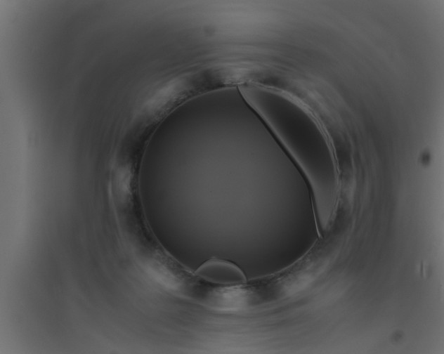 X0000094800219200711241431