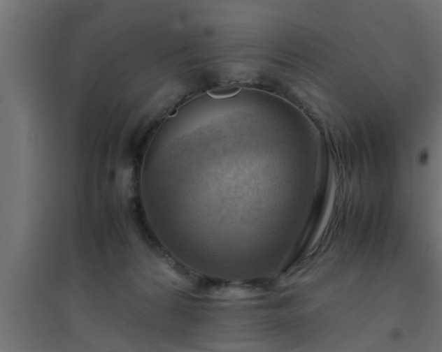 X0000094800224200711241430