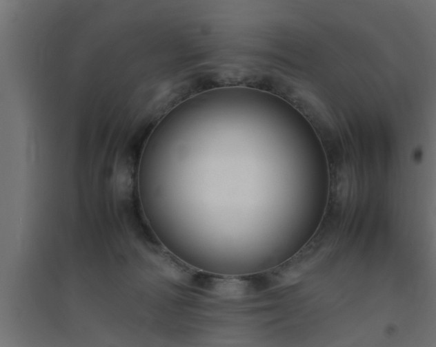 X0000094800226200711241430