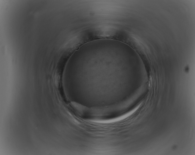 X0000094800227200711241430