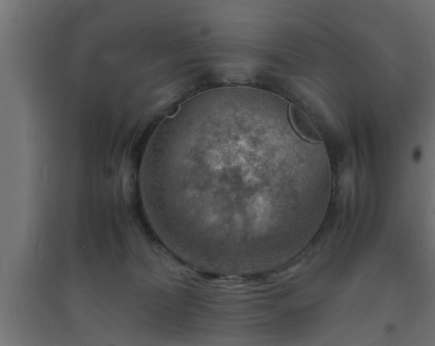 X0000094800228200711241430
