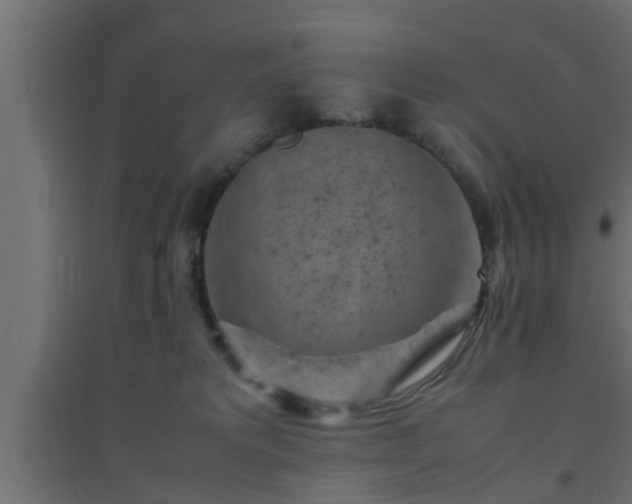 X0000094800229200711241430