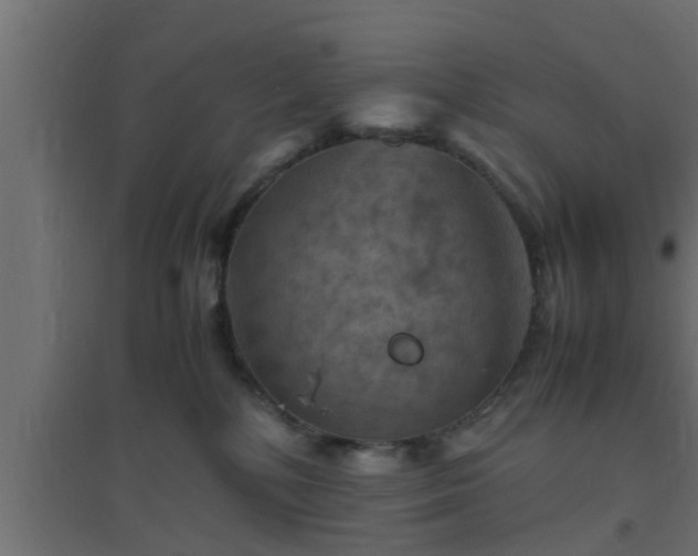 X0000094800232200711241430