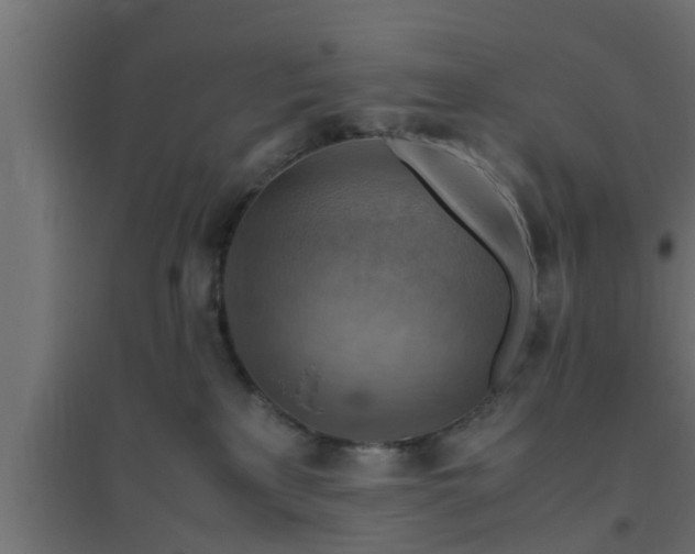 X0000094800233200711241430