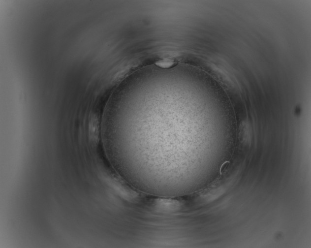 X0000094800234200711241430