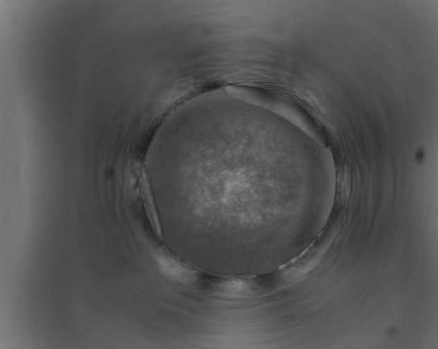 X0000094800237200711241430