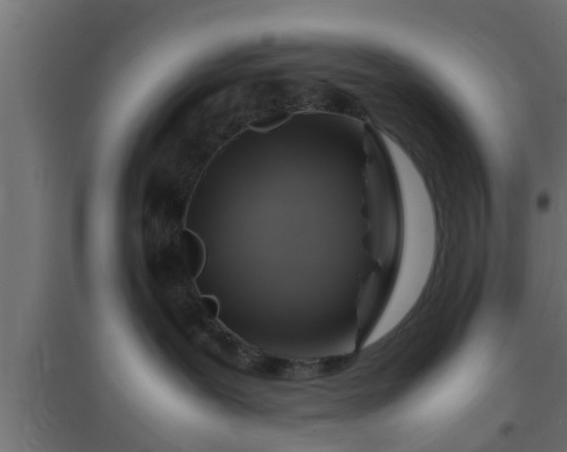 X0000094800239200711241430